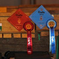 Faithful Paw’s Chance