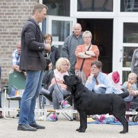 Faithful Paw’s Chance
