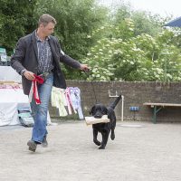 Faithful Paw’s Chance