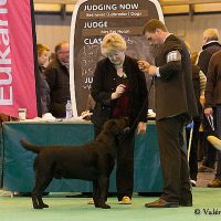 Faithful Paw’s Brave Heart – *Conner*