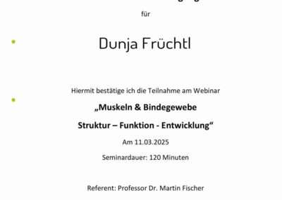 Muskeln & Bindegewebe Struktur – Funktion - Entwicklung