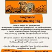 Junghunde Dummy Tag