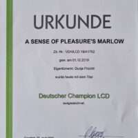 Deutscher Champion LCD