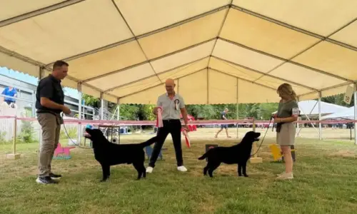 22. Internationale Rassehunde-Ausstellung Ludwigshafen