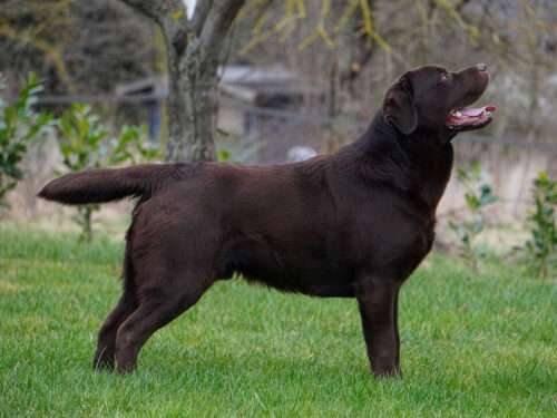 A Sense Of Pleasure´s Quality Ben